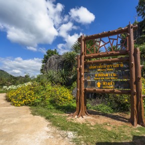 loei_2015-03036