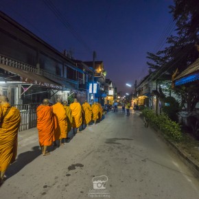 loei_2015-3678