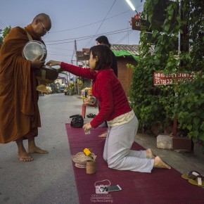 loei_2015-3779