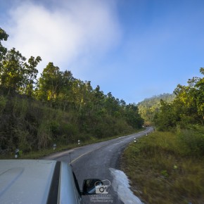 loei_2015-3826