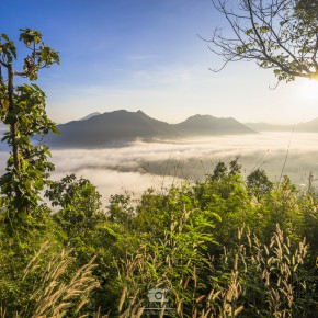 loei_2015-3834