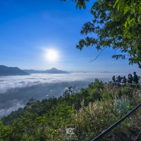 loei_2015-3852