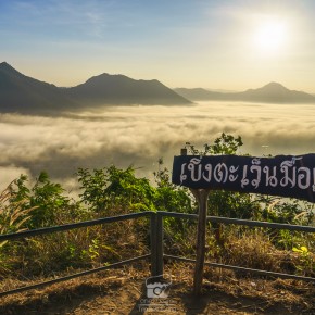 loei_2015-3854