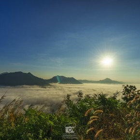 loei_2015-3867