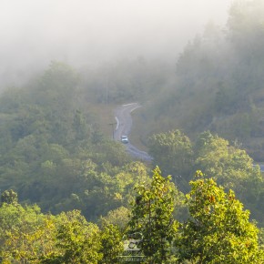 loei_2015-3900