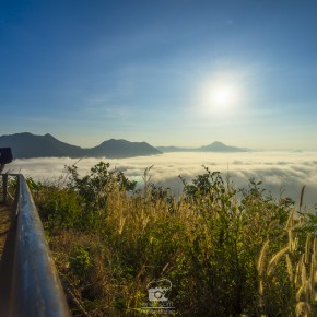 loei_2015-3908