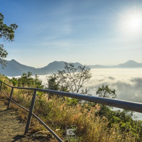 loei_2015-3930