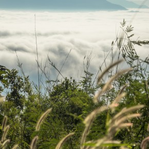 loei_2015-3940