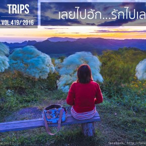 loei_2015_cover