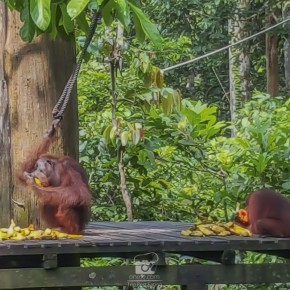 sadakan_malaysia-100854