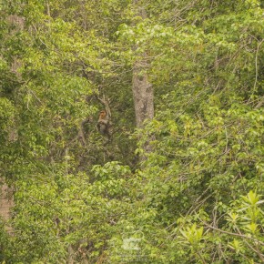 sadakan_malaysia-2-7