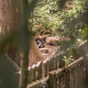 sadakan_malaysia-2629