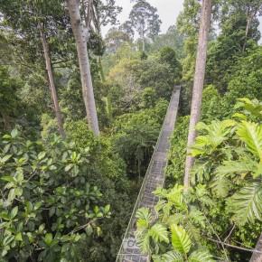 sadakan_malaysia-2776