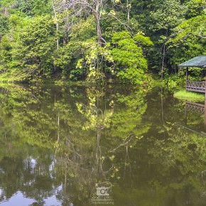 sadakan_malaysia-2820