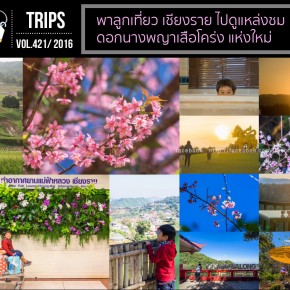 chiangrai2016_cover
