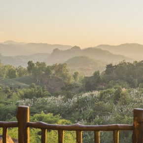 chiangrai_2016-00960