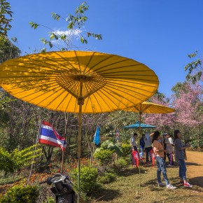 chiangrai_2016-02653