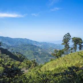 chiangrai_2016-02661