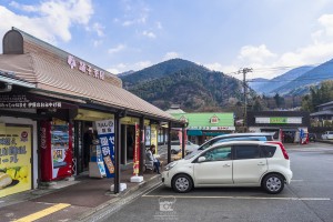 japan_sakura-06546