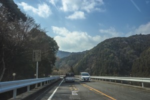 japan_sakura-06551