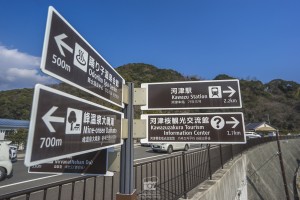 japan_sakura-06620