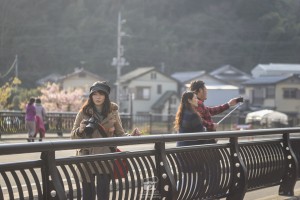 japan_sakura-06855