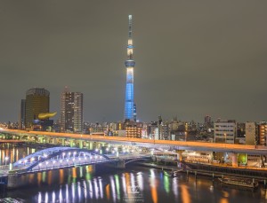 japan_sakura-06865