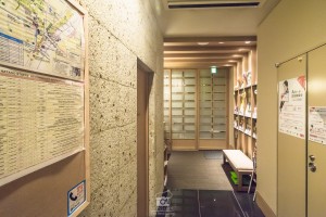 japan_sakura-06884