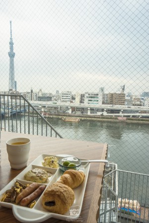 japan_sakura-06912