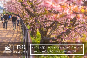 japan_sakura_cover1