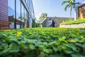 casadelaflora-04347