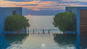 casadelaflora-04659