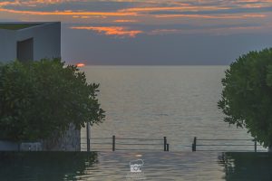 casadelaflora-04663