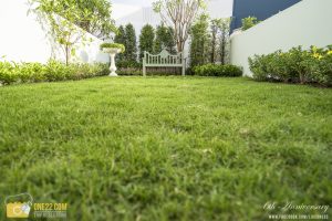 indy_bangyai-2242