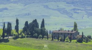 europ_italy_day7_tuscany-00222