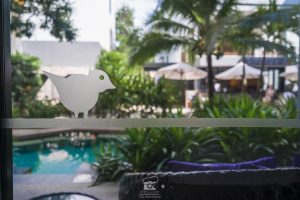 krabi_2016-07497