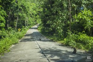 krabi_2016-08472