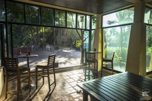 krabi_2016-08614
