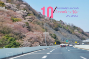 10 สิ่งละอันพันละน้อย ก่อนจะพาครอบครัวขับรถเที่ยวญี่ปุ่นด้วยตัวเอง