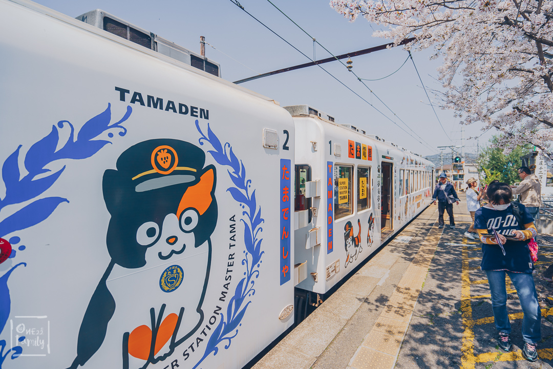 7 ที่ทำให้คุณอยากไป Wakayama เมืองอะไร ดี๊ดี ติดกับ Osaka ไปง่ายมาก,วากายาม่า,โอซาก้า,ซากุระ,สถานีทามะ,tama,station,Tamadensha Train,National Park Kyukamura Kishu-Kada,mindtrips,สถานีแมวเหมียว ,Kishi Station,Wakayama Castle,วัดคิมิอิเดระ,Kimiidera Temple,ตลาดปลา ,Kuroshio Market ,Wakayama Marina City,Wakayama Station,one22family