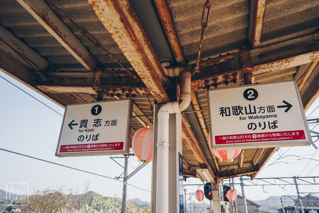 7 ที่ทำให้คุณอยากไป Wakayama เมืองอะไร ดี๊ดี ติดกับ Osaka ไปง่ายมาก,วากายาม่า,โอซาก้า,ซากุระ,สถานีทามะ,tama,station,National Park Kyukamura Kishu-Kada,mindtrips,สถานีแมวเหมียว ,Kishi Station,Wakayama Castle,วัดคิมิอิเดระ,Kimiidera Temple,ตลาดปลา ,Kuroshio Market ,Wakayama Marina City,Wakayama Station,one22family