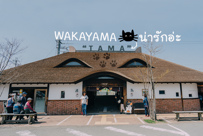 7 ที่ทำให้คุณอยากไป Wakayama เมืองอะไร ดี๊ดี ติดกับ Osaka ไปง่ายมาก,วากายาม่า,โอซาก้า,ซากุระ,สถานีทามะ,tama,station,National Park Kyukamura Kishu-Kada,mindtrips,สถานีแมวเหมียว ,Kishi Station,Wakayama Castle,วัดคิมิอิเดระ,Kimiidera Temple,ตลาดปลา ,Kuroshio Market ,Wakayama Marina City,Wakayama Station,one22family