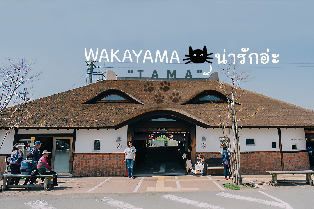 7 ที่ทำให้คุณอยากไป Wakayama เมืองอะไร ดี๊ดี ติดกับ Osaka ไปง่ายมาก,วากายาม่า,โอซาก้า,ซากุระ,สถานีทามะ,tama,station,National Park Kyukamura Kishu-Kada,mindtrips,สถานีแมวเหมียว ,Kishi Station,Wakayama Castle,วัดคิมิอิเดระ,Kimiidera Temple,ตลาดปลา ,Kuroshio Market ,Wakayama Marina City,Wakayama Station,one22family