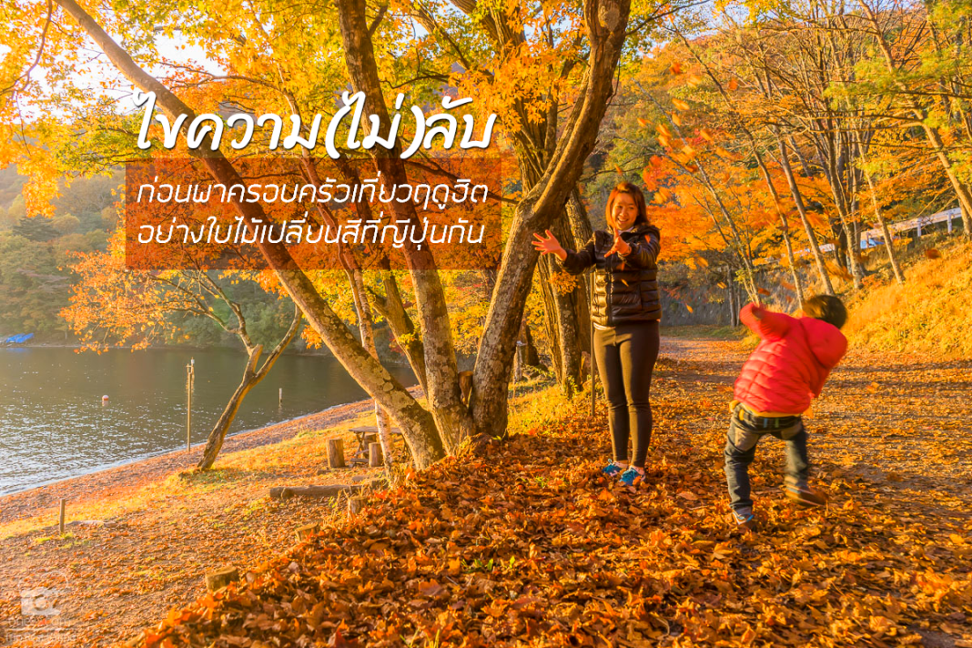 ไขความ(ไม่)ลับก่อนพาครอบครัวเที่ยวฤดูฮิต อย่างใบไม้เปลี่ยนสีญีปุ่นกัน