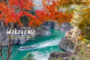 รีวิว 3 วัน 2 คืนรวมที่เที่ยว จังหวัดวากายาม่า ญี่ปุ่นในฤดูใบไม้เปลี่ยนสี ห้ามพลาดเด็ดมาก!
