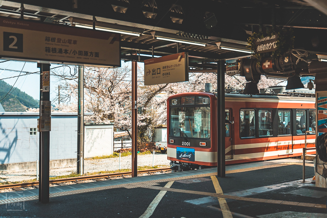 1 Day in Hakone วันเดียวพาครอบครัวเที่ยว ฮาโกเน่,Tokyo Metro Pass,Hakone Free Pass