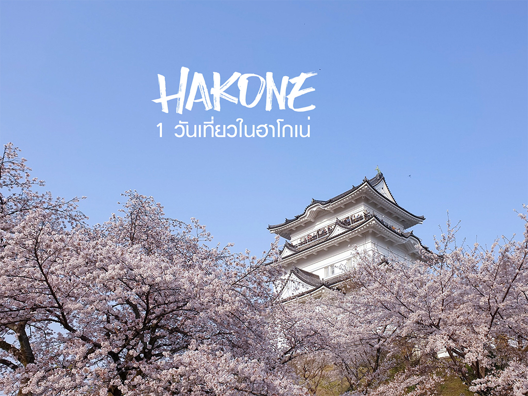 1 Day in Hakone วันเดียวพาครอบครัวเที่ยวดูฟูจิซังที่ ฮาโกเน่,Tokyo Metro Pass,Hakone Free Pass