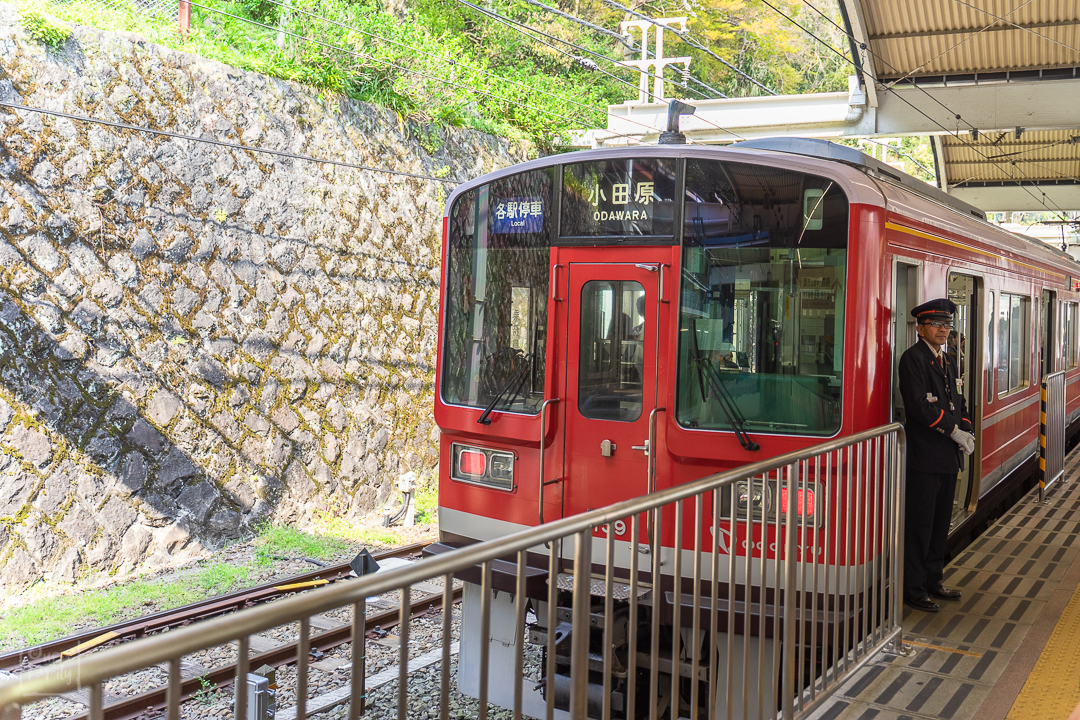 1 Day in Hakone วันเดียวพาครอบครัวเที่ยว ฮาโกเน่,Tokyo Metro Pass,Hakone Free Pass,Odawara Castle