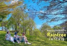 รีวิวรีสอร์ทเขาใหญ่ สุดเก๋ raintreekhaoyai