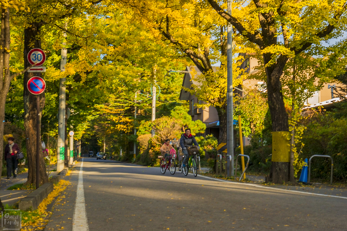 Plan Trip Autumn Leaves Nagano,karuizawa,matsumoto,kappa bridge,kamikochi,คามิโคชิ,นากาโนะ,น่ากาโน่,ปราสาทมัตสึโมโตะ,20จุดเที่ยวใบไม้เปลี่ยนสีนากาโน่